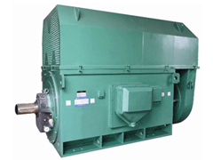 蓬溪Y系列6KV高压电机
